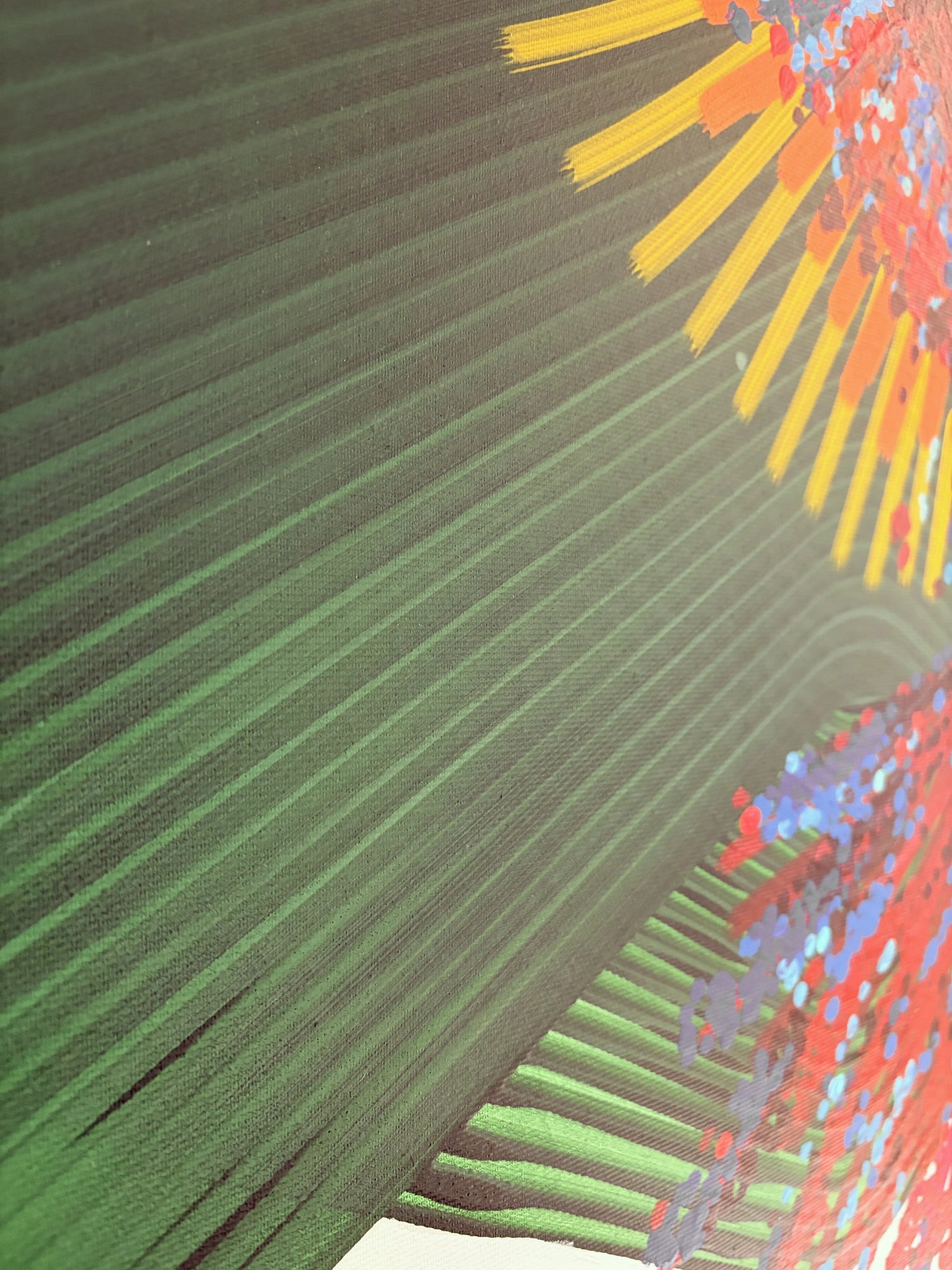 Parrot Jungle